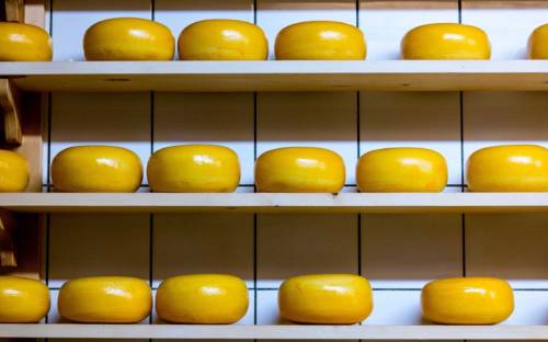 Alles handgemacht: der Käse aus der Jithofer Käserei in Bargstedt / ©Unsplash/Katrin Leinfellner
