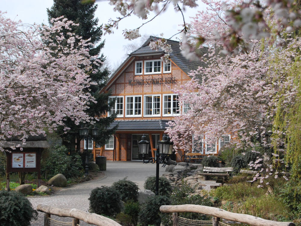 Direkt am Wildpark Schwarze Berge: das Wildpark-Restaurant / ©Wildpark-Restaurant