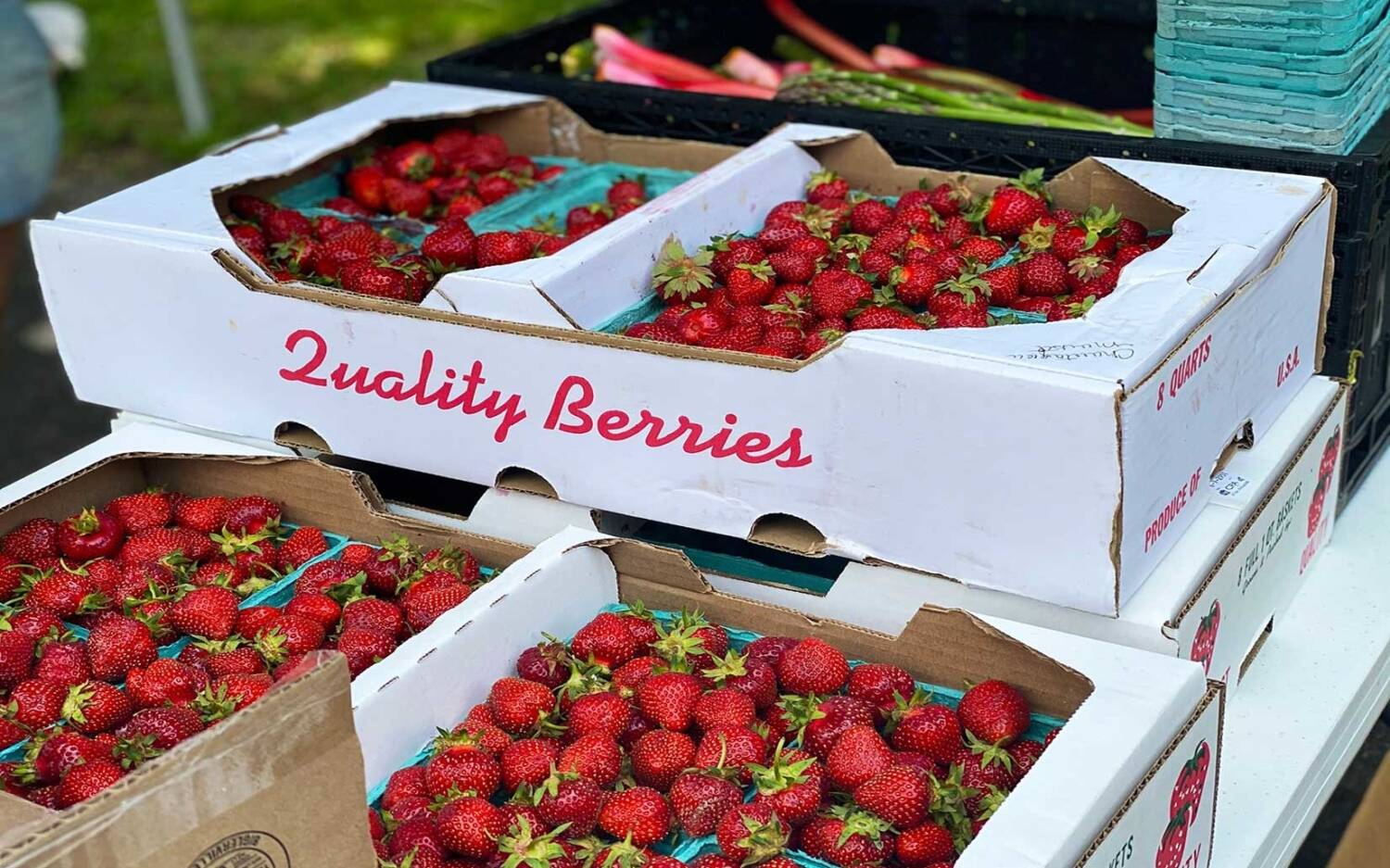 Dreimal die Woche lädt der Wochenmarkt Eidelstedt zum Bummeln ein / ©Unsplash/Liz Caldwell