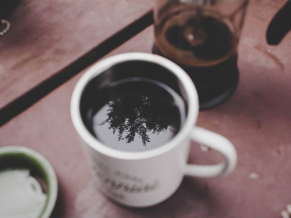 Spielplatz und Grünflächen vor der Tür: das Café Alsterwiesen / ©Unsplash/Maddy Baker