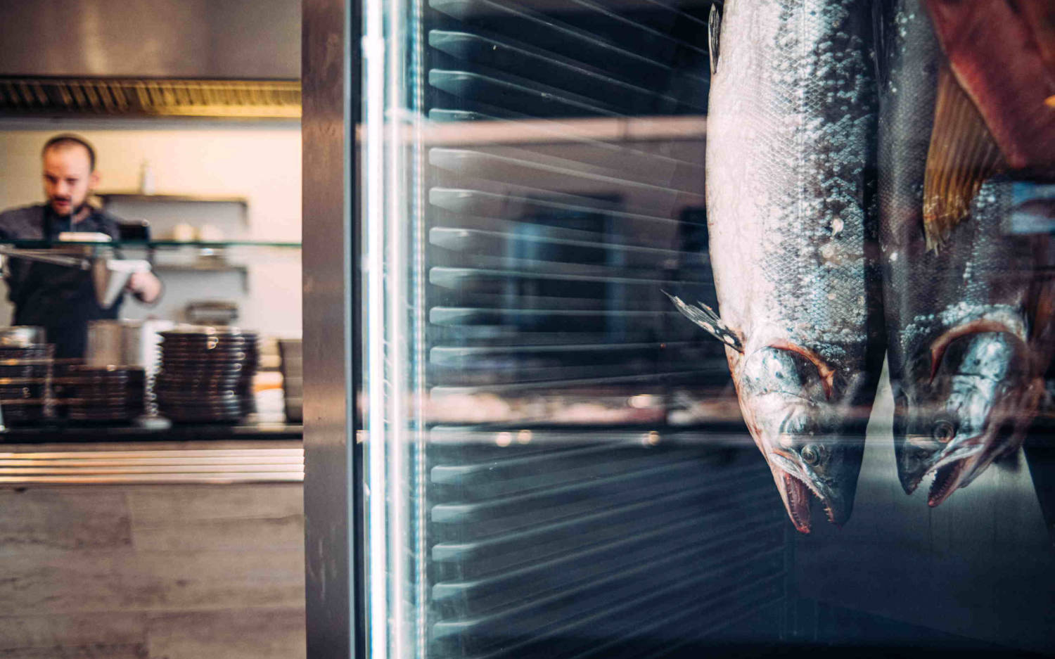 Bei Fischfeinkost Baier werden Fische möglichst komplett verarbeitet – beziehungsweise im Dry Ager veredelt / ©Fischfeinkost Baier