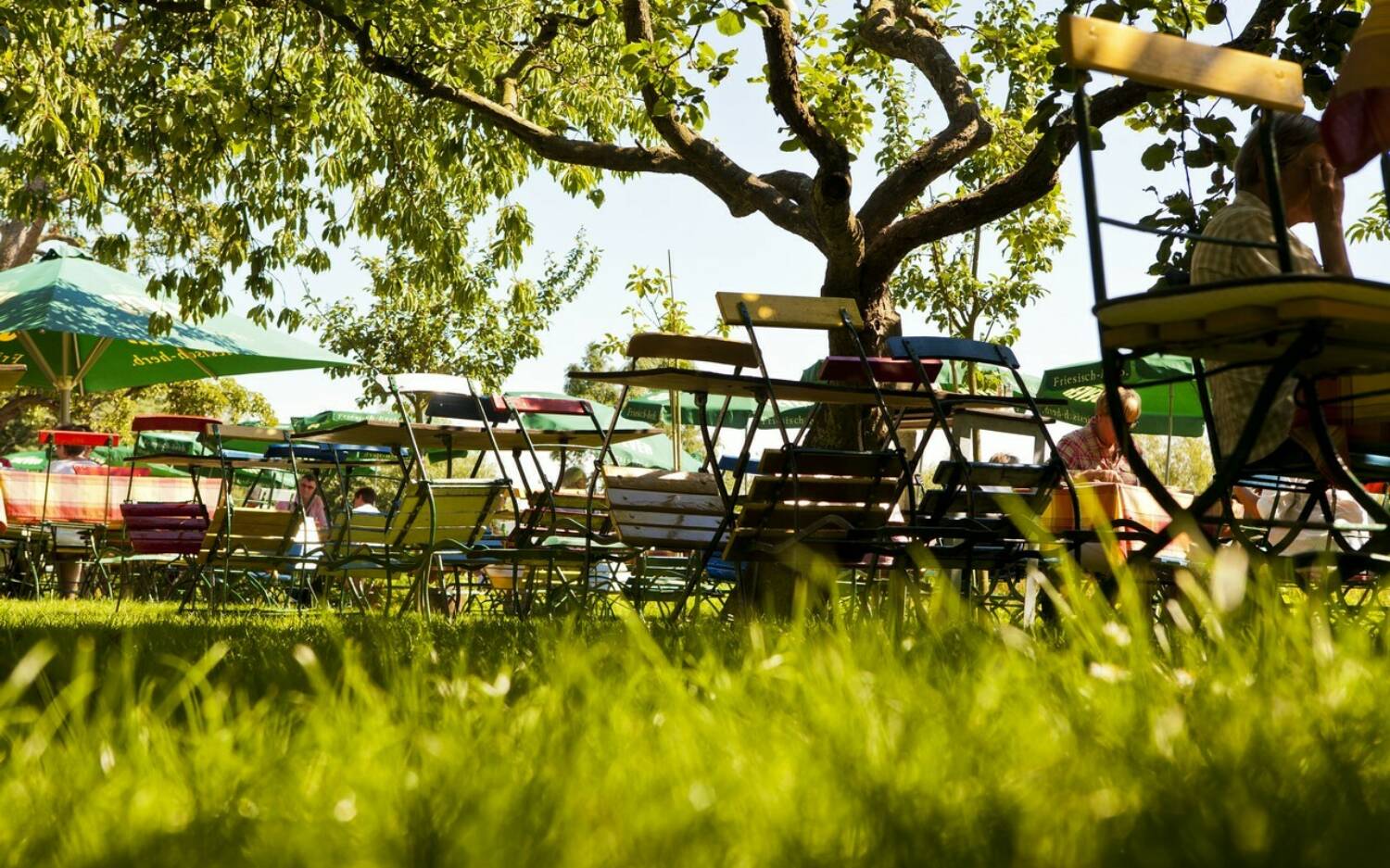 Im Sommer lädt der große Garten zum Verweilen und Genießen / ©Restaurant Hintze