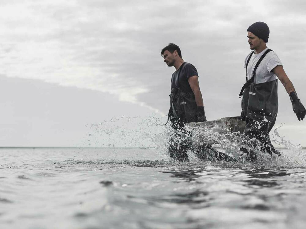 Joost und Marco sammeln ihre Austern in der niederländischen Nordsee / ©AusterRegion