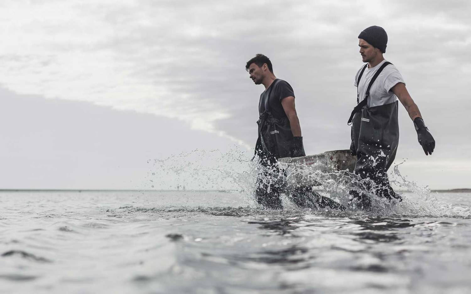 Joost und Marco sammeln ihre Austern in der niederländischen Nordsee / ©AusterRegion