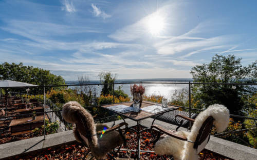 Traumhaft: Von der Terrasse der Süllberg Alm blickt man über die Elbe / ©Süllberg Alm 