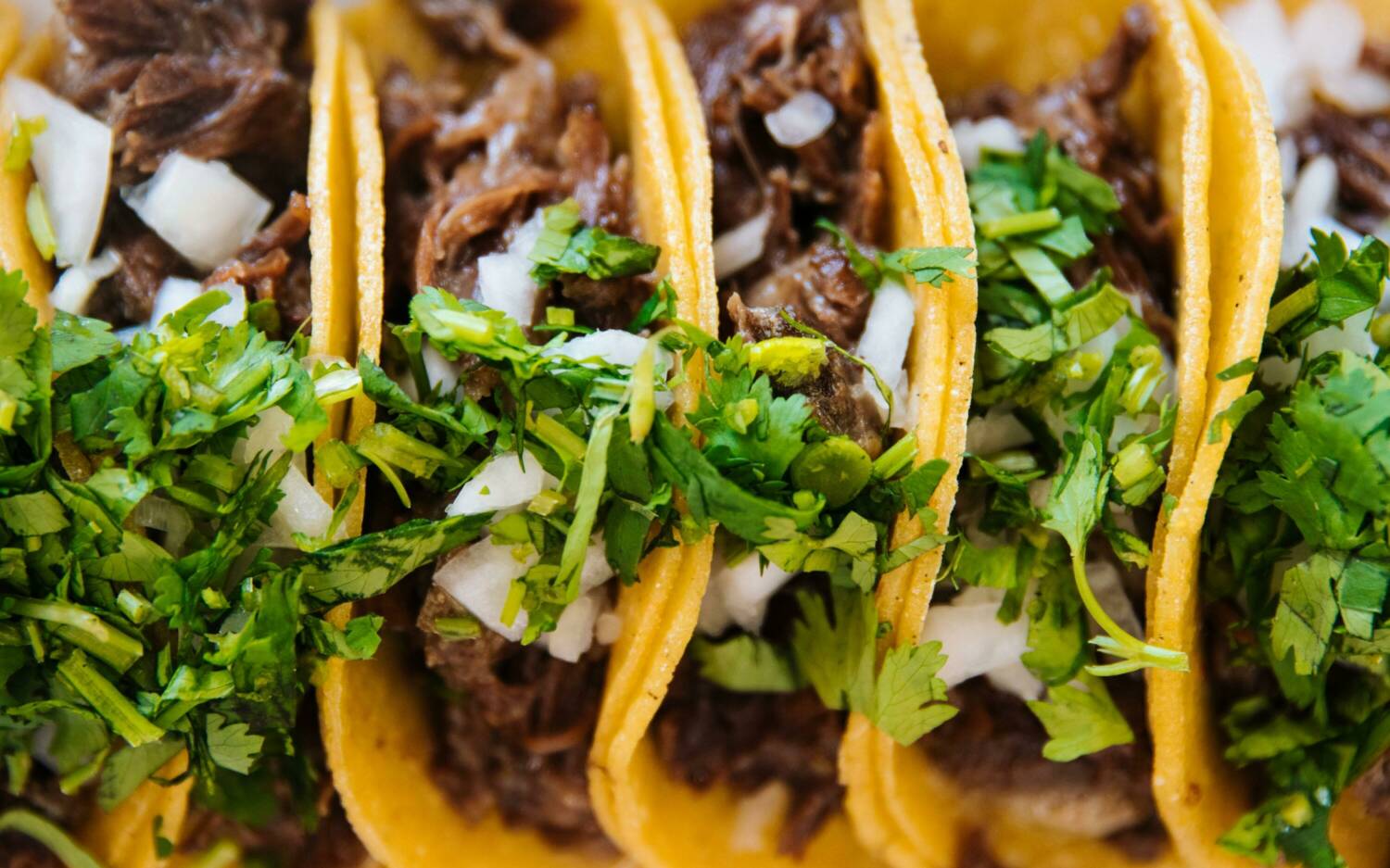 Bolita Tacos hält die Taco-Tradition an der Sternbrücke am Leben / © Jeswin Thomas