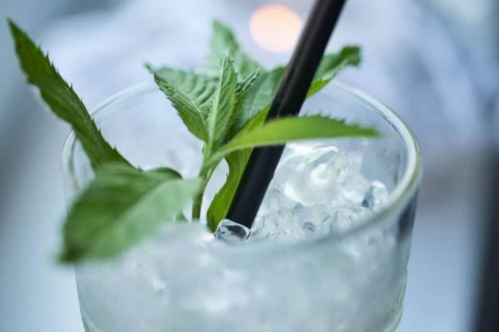 Eine große Auswahl an Cocktails in der Auster Bar / ©Unsplash