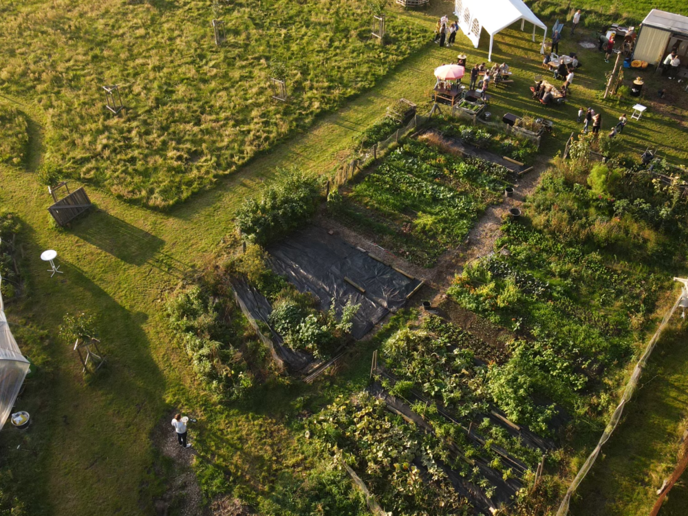 Ein Ort zum Ausprobieren: die erste WeField-Microfarm in Kaltenkirchen / ©Kevin Hoesch