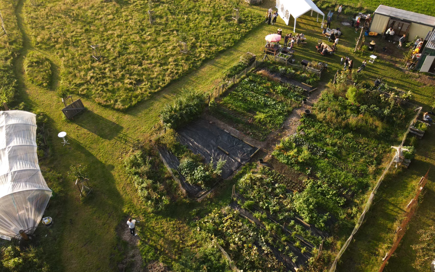 Ein Ort zum Ausprobieren: die erste WeField-Microfarm in Kaltenkirchen / ©Kevin Hoesch