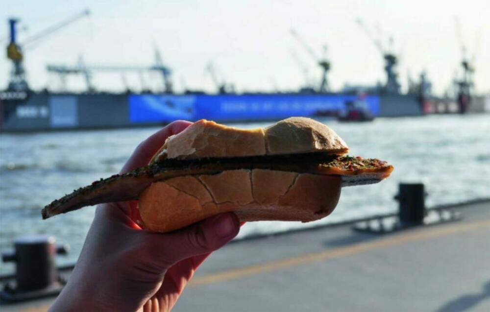 Fisch, Möwen und Hafen bei Brücke 10 / ©Jana Belmann