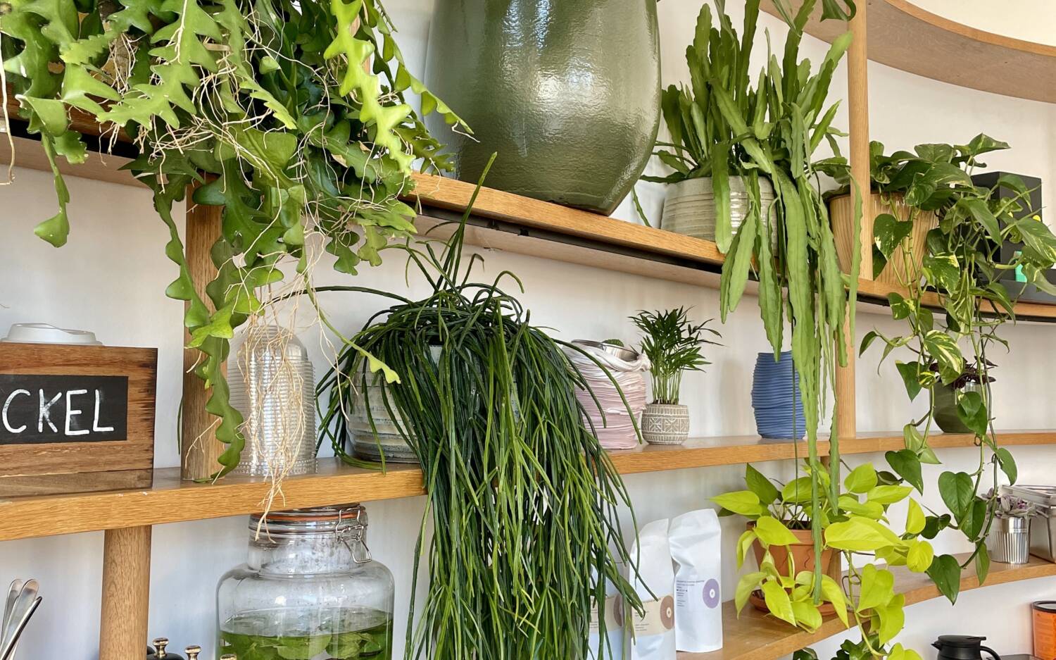 Planten Coffee | Genuss-Guide
