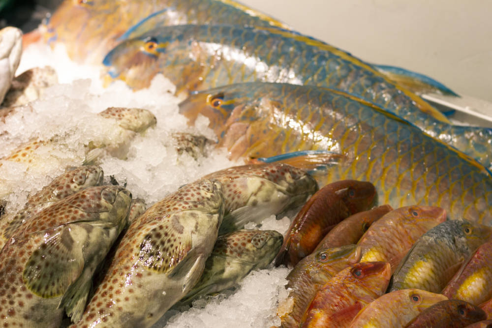 Bei Yin Seafood gibt es Exoten aus dem Meer / ©Johanna Zobel