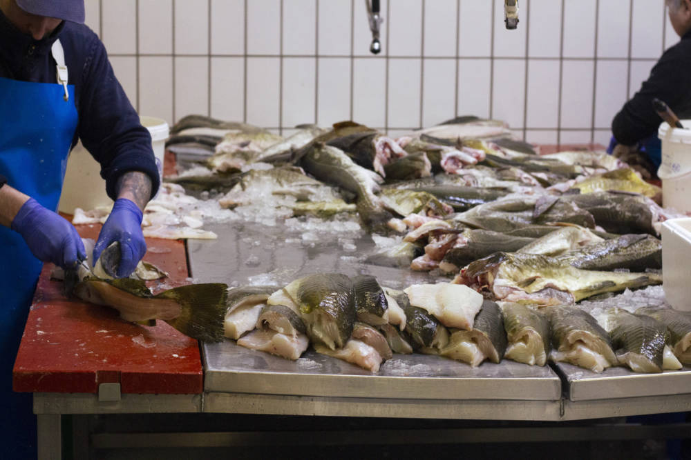 Hier wird fleißig Fisch filetiert / ©Johanna Zobel
