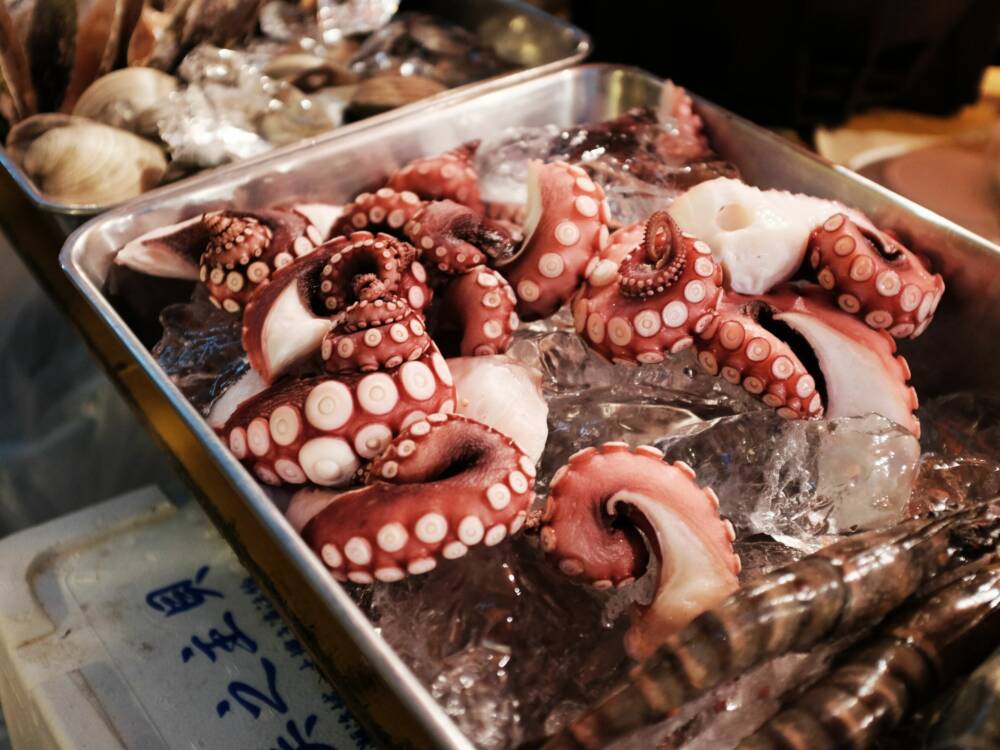 Im Octopus Fisch Haus kommen Fisch und Meeresfrüchte auf den Tisch / ©Unsplash/Alex Knight