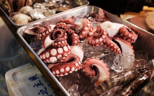 Im Octopus Fisch Haus kommen Fisch und Meeresfrüchte auf den Tisch / ©Unsplash/Alex Knight