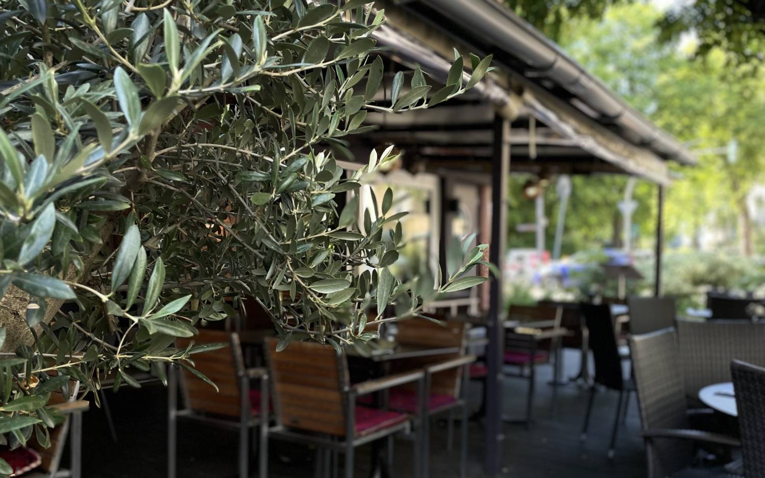 Außengastronomie in Hoheluft: Im Maihan sitzen die Gäste schattig zwischen Olivenbäumen / ©Maihan