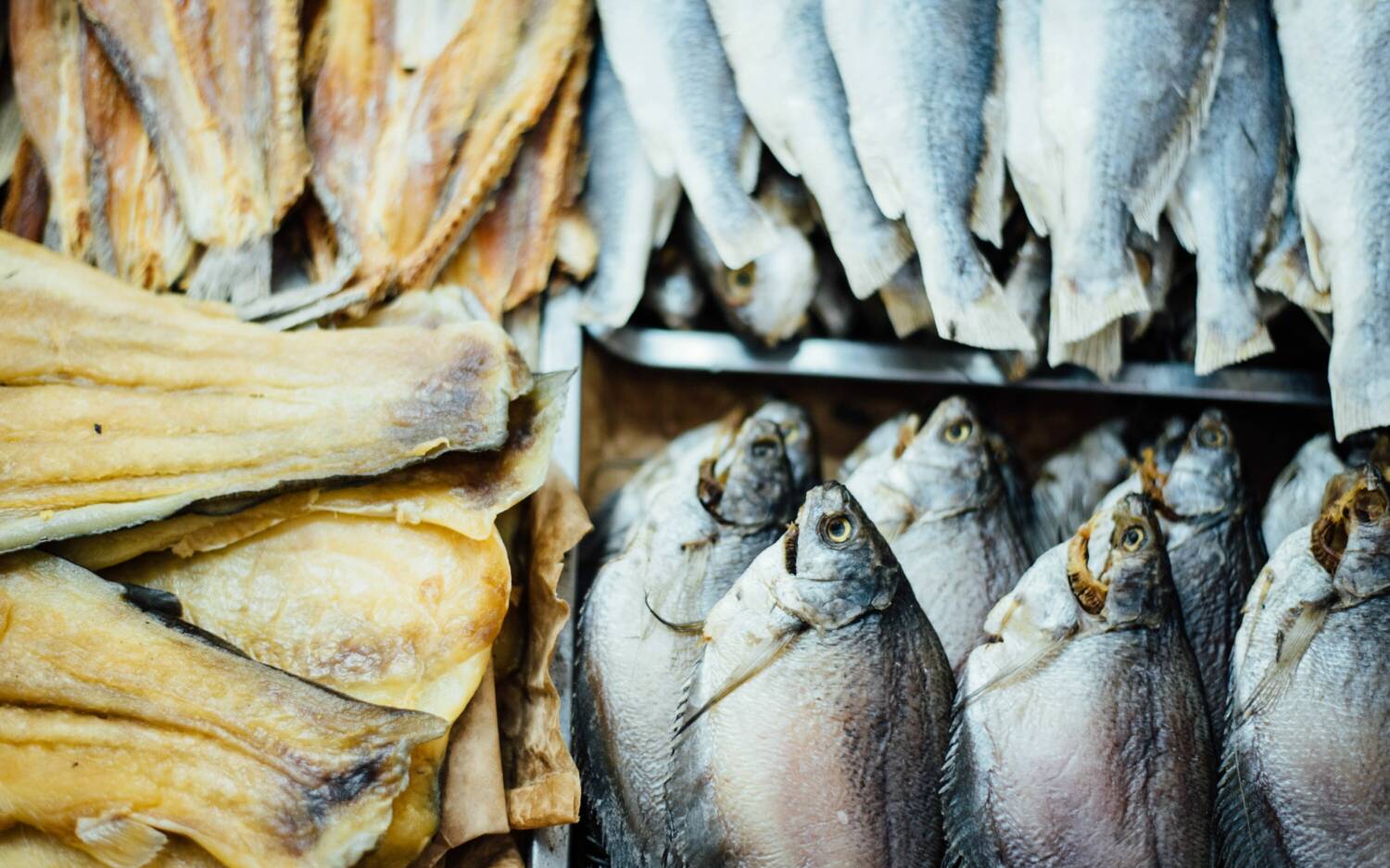 Frischer Fisch im Fischladen Eichrodt in Tonndorf / ©Unsplash/ Chuttersnap