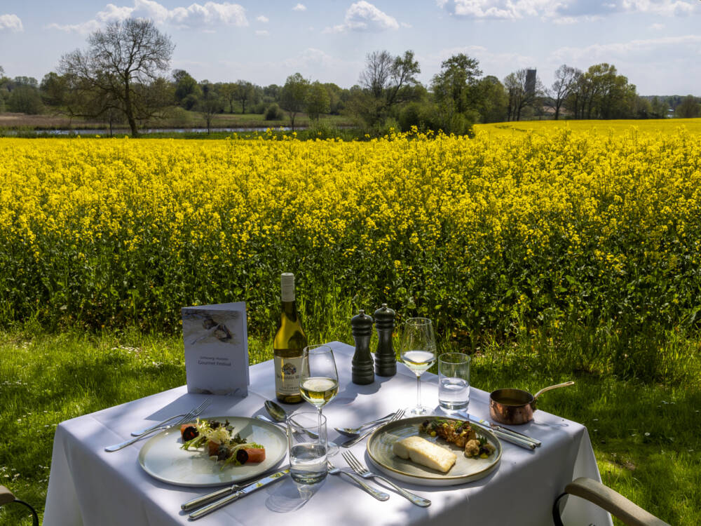 Das Schleswig-Holstein Gourmet Festival startet am 10. September in Bad Segeberg / ©Schleswig-Holstein Gourmet Festival