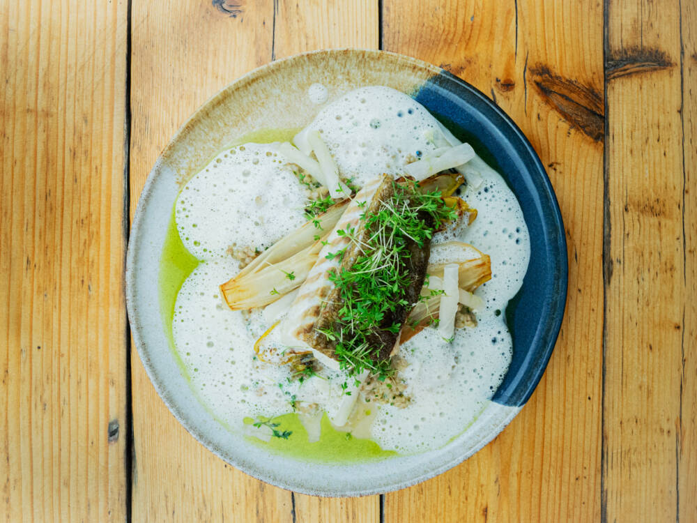 Gebratenes Seehecht-Filet mit Buchweizen-Risotto, geschmortem Chicorée und mariniertem Winter-Rettich