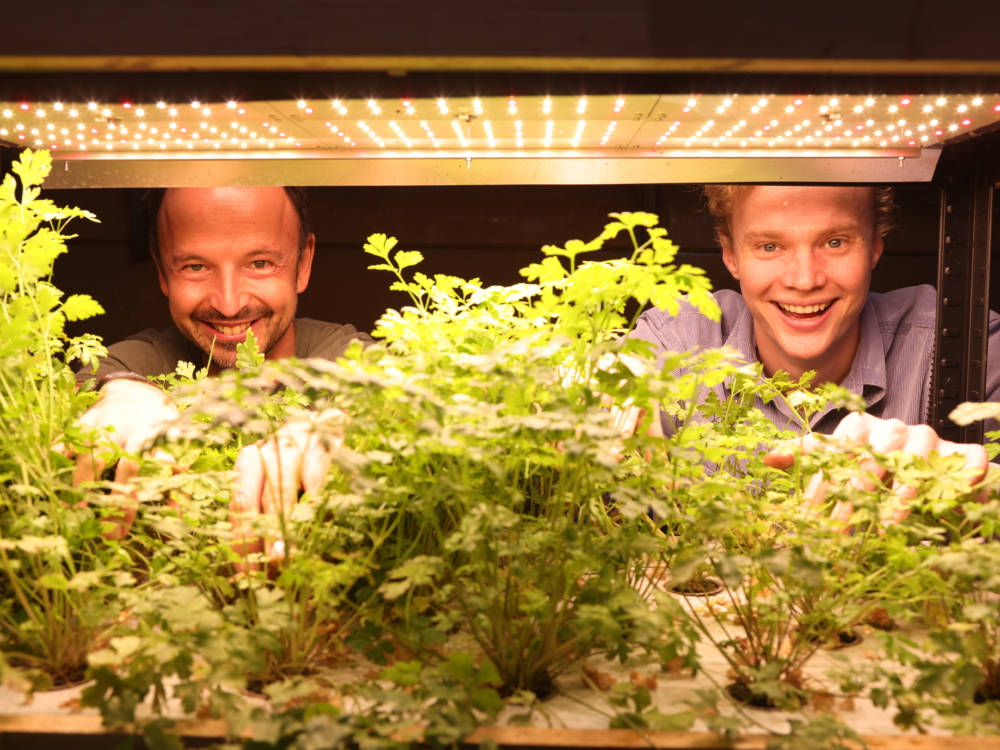 Thomas Sampl (l.) und Ben Etemadieh testen in der Gleishalle eine neuartige Bioponik-Anlage / ©Stephan Wallocha