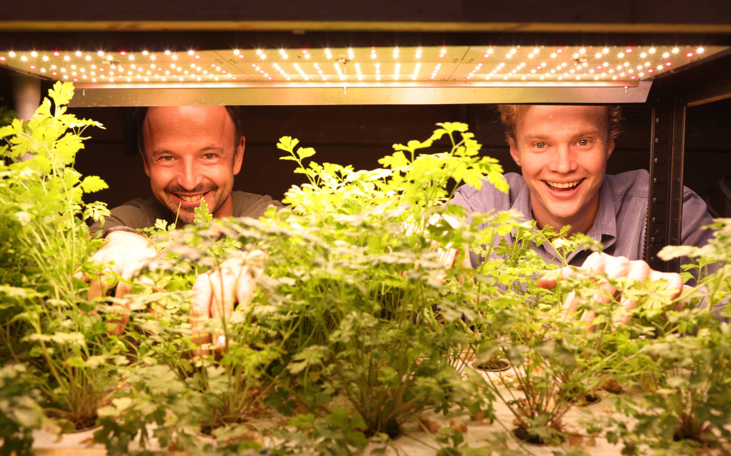 Thomas Sampl (l.) und Ben Etemadieh testen in der Gleishalle eine neuartige Bioponik-Anlage / ©Stephan Wallocha