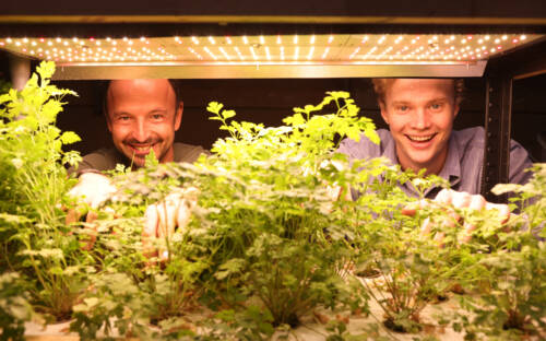 Thomas Sampl (l.) und Ben Etemadieh testen in der Gleishalle eine neuartige Bioponik-Anlage / ©Stephan Wallocha