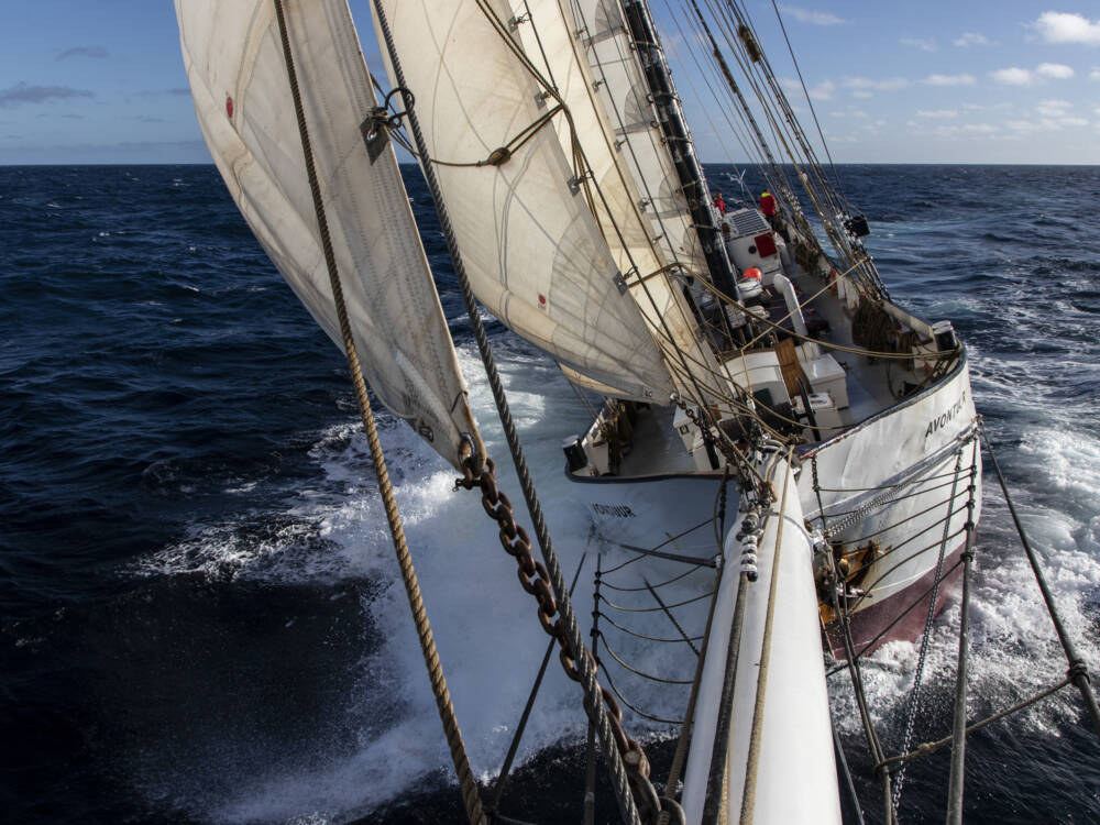 Einmal im Jahr wird die Kaffeeernte der Höfe mit einem Segelschiff über den Atlantik nach Europa transportiert / ©Teikei Coffee/Christoph Bog