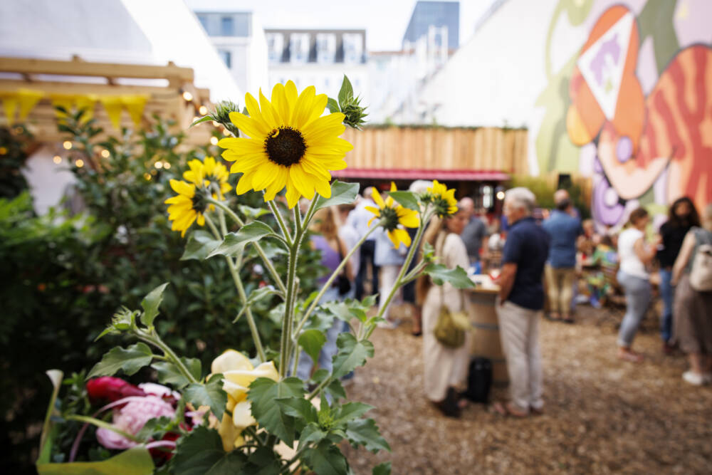 Im Sommer schmücken Sonnenblumen den Weingarten, im Winter Tannenbäume / ©Morris Mac Matzen