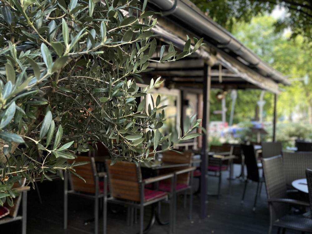 Das Maihan in Hoheluft lockt im Sommer mit einer einladenden Terrasse / ©Maihan