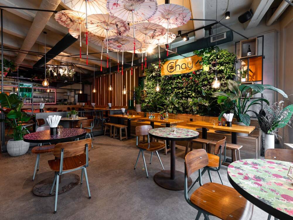 Frieden für Menschen und alle Lebewesen – das ist das Credo von Chay Vegan / ©Chay Vegan