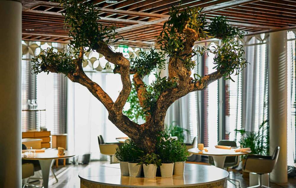 Sternerestaurant in der HafenCity mit Olivenbaum im Innenraum / ©Marc Sill