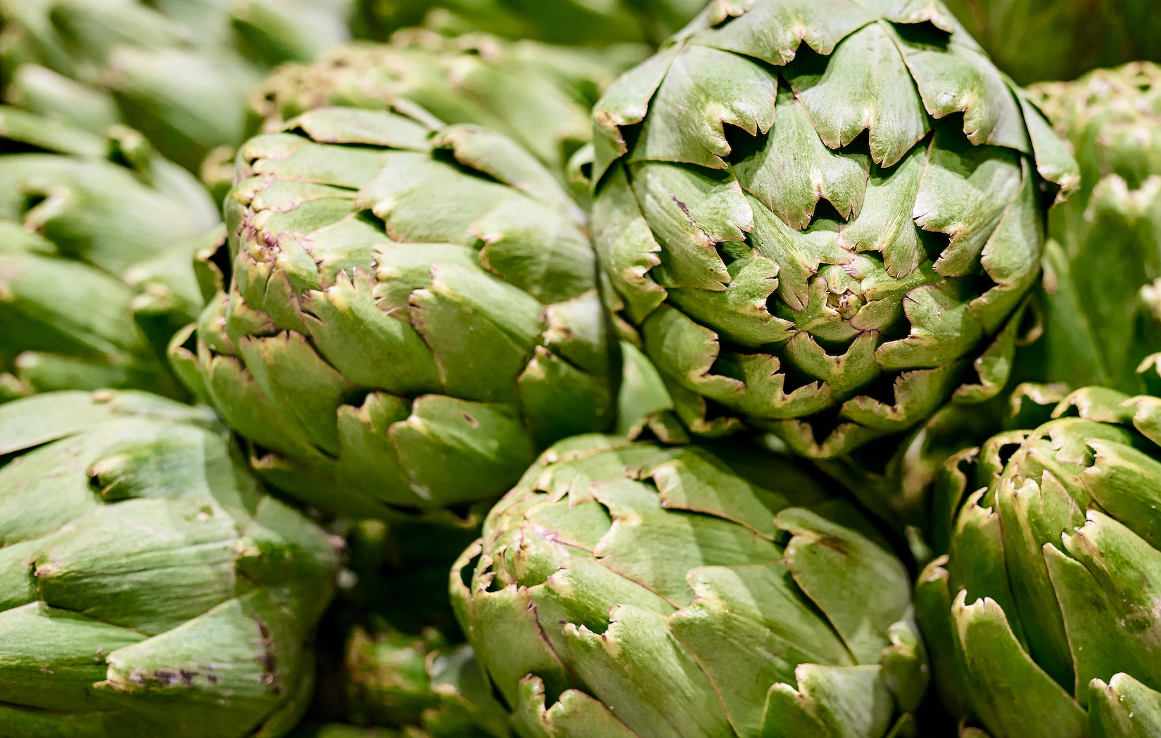 Frischeparadies Bistro GenussGuide