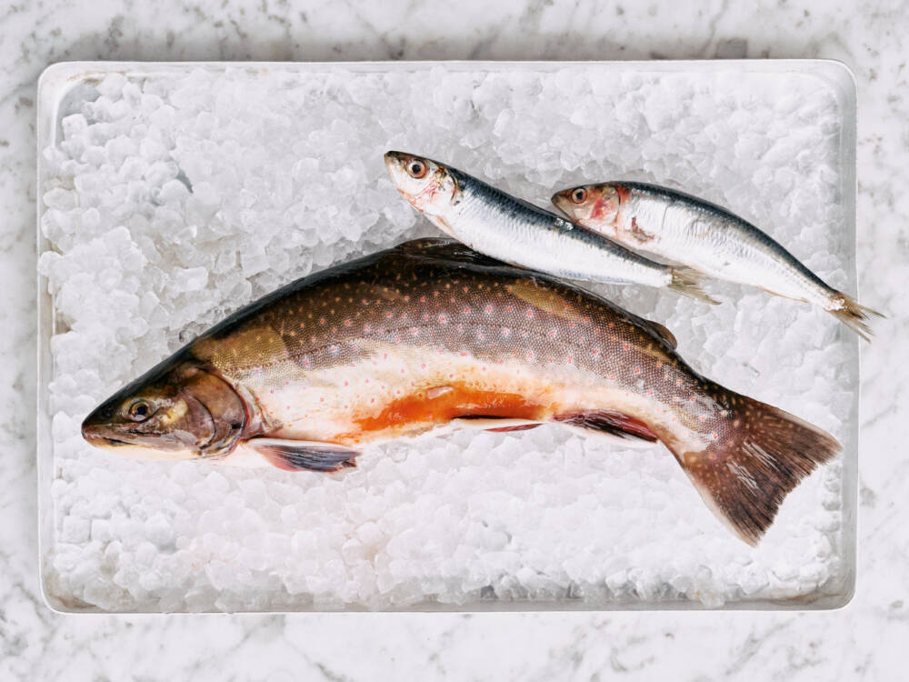 Wenn’s um Fisch geht, sollte er vor allem eins sein: frisch und gut zubereitet – wie hier in der XO Seafoodbar/ ©Wim Jansen