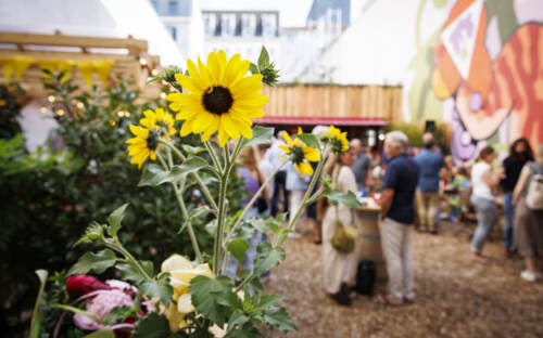Die Open-Air-Weinbar empfängt Gäste mit gemütlichem Ambiente / ©Morris Mac Matzen