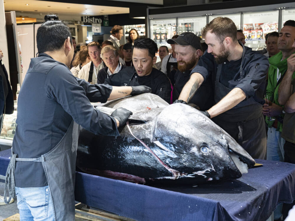 Bei einer Messe im Frischeparadies konnte das Publikum miterleben, wie ein Blauflossen-Thunfisch zerlegt wird / ©Frischeparadies