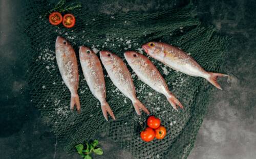 Hier in der Bramfelder Chaussee werden Dorade, Barsch, Forelle und Co zur Perfektion gegrillt! / ©Unsplash/ Harris Vo