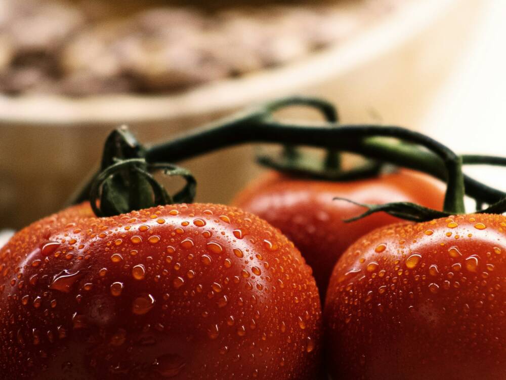 Sizilien auf St. Pauli in der Osteria Dei Folli / ©Unsplash/ Samuele Pieretti