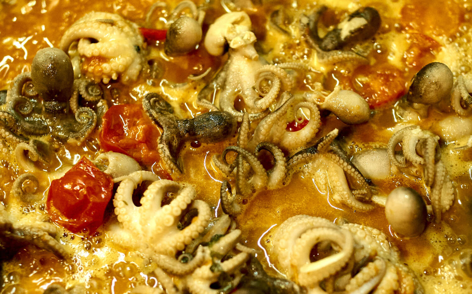 Calamari in abgeschmeckter Soße mit Kirschtomaten in Blankenese / ©Marc Sill