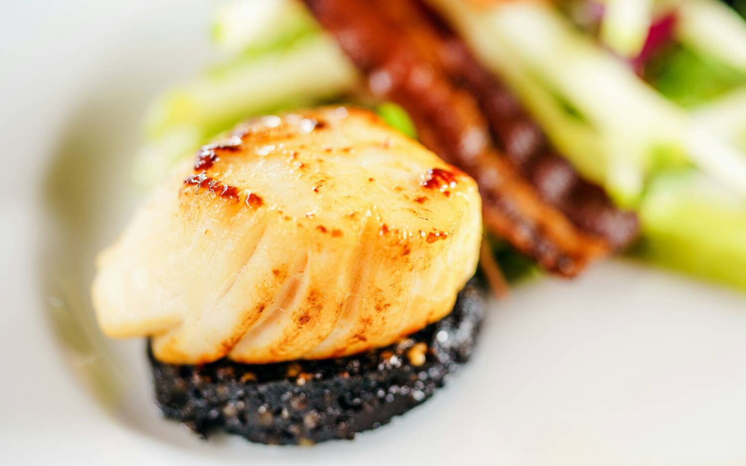 Norddeutsche Tapas in der neu eröffneten Kaiserperle am Museumshafen in Ottensen / ©Unsplash/ Sebastian Coman Photography