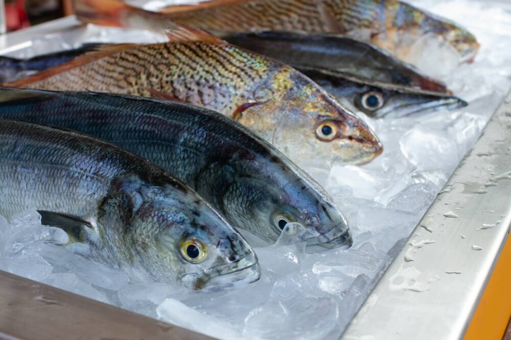 Neben dem Imbissbetrieb werden im Fisch & So auch frische Filets angeboten / ©Unsplash/Camila Igisk
