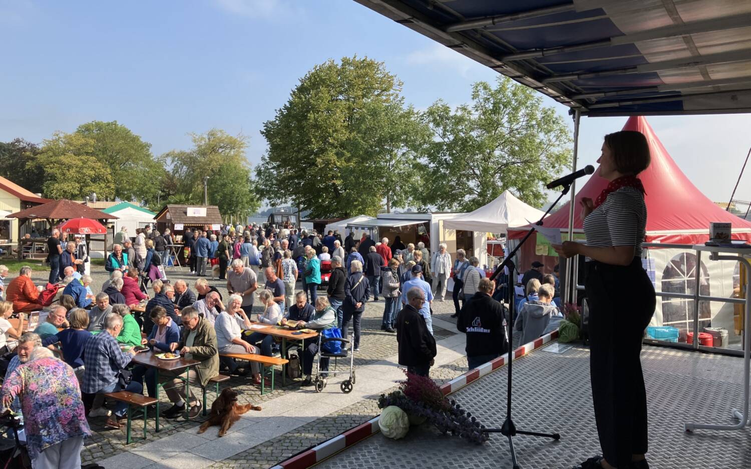 Auf insgesamt zwei Bühnen werden Besucherinnen und Besucher durch musikalische Darbietungen und weitere Highlights begleitet / ©Stadtmanagement Brunsbüttel