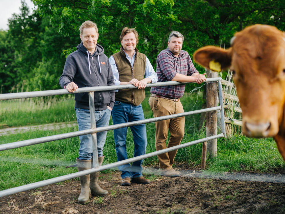 Konzertveranstalter Folkert Koopmans, Tierarzt Sebastian Fietze und Landwirt Andreas Winter haben 2021 die Krautsand Farm gegründet / ©Malvin Keppler und Lars Jacobsen