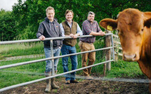 Konzertveranstalter Folkert Koopmans, Tierarzt Sebastian Fietze und Landwirt Andreas Winter haben 2021 die Krautsand Farm gegründet / ©Malvin Keppler und Lars Jacobsen
