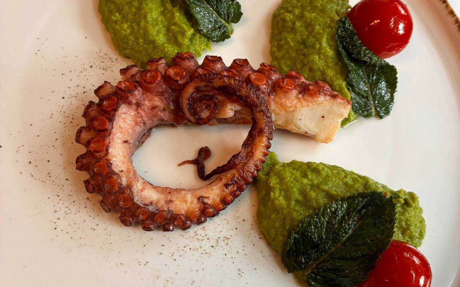 Auch frischer Fisch steht in dem italienischen Restaurant auf der Speisekarte / ©Pomanti