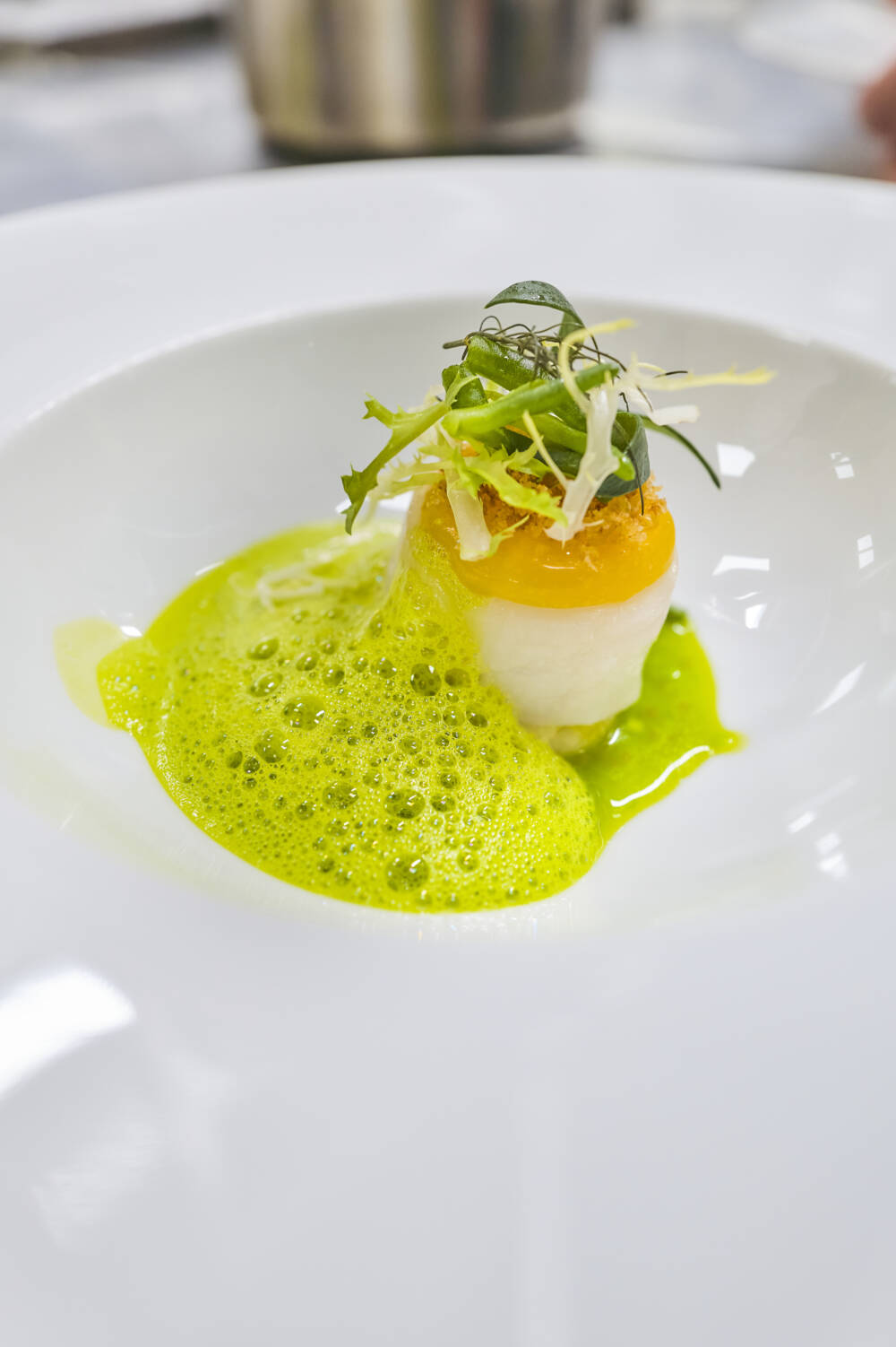 Die Orangerie-Küchenchefs kreieren für den Abend einen Gang mit Kabeljau, Meereskräutern und Algen-Beurre-Blanc / ©M.Brodt