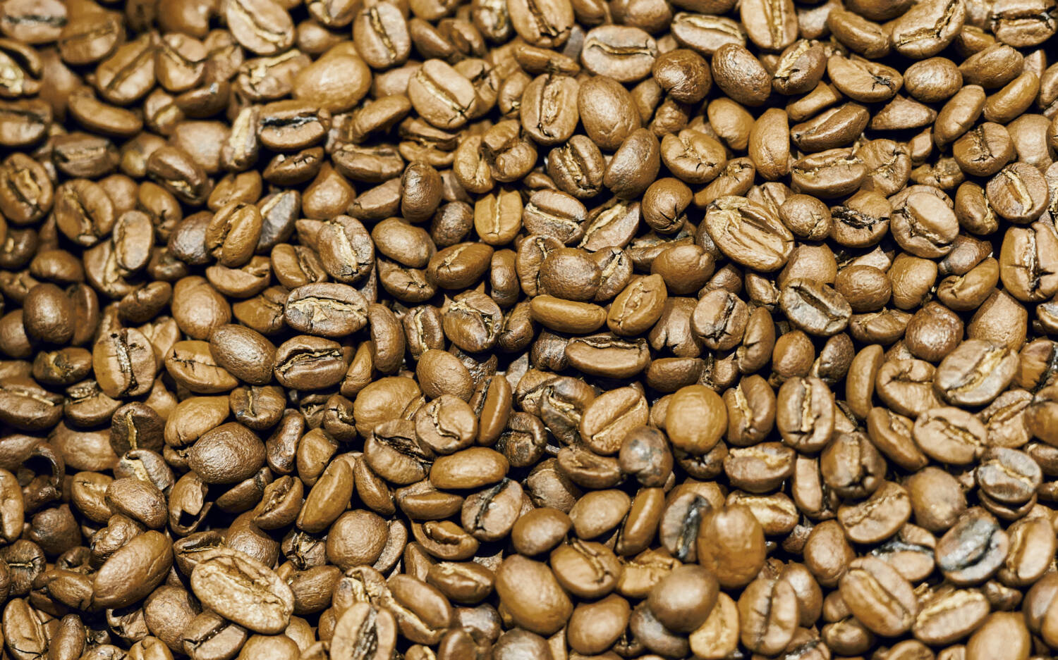 Perfekt geröstet, um den besten Geschmack aus jeder Bohne zu holen. In Hamburgs Kaffeeröstereien arbeiten Profis / ©Marc Sill
