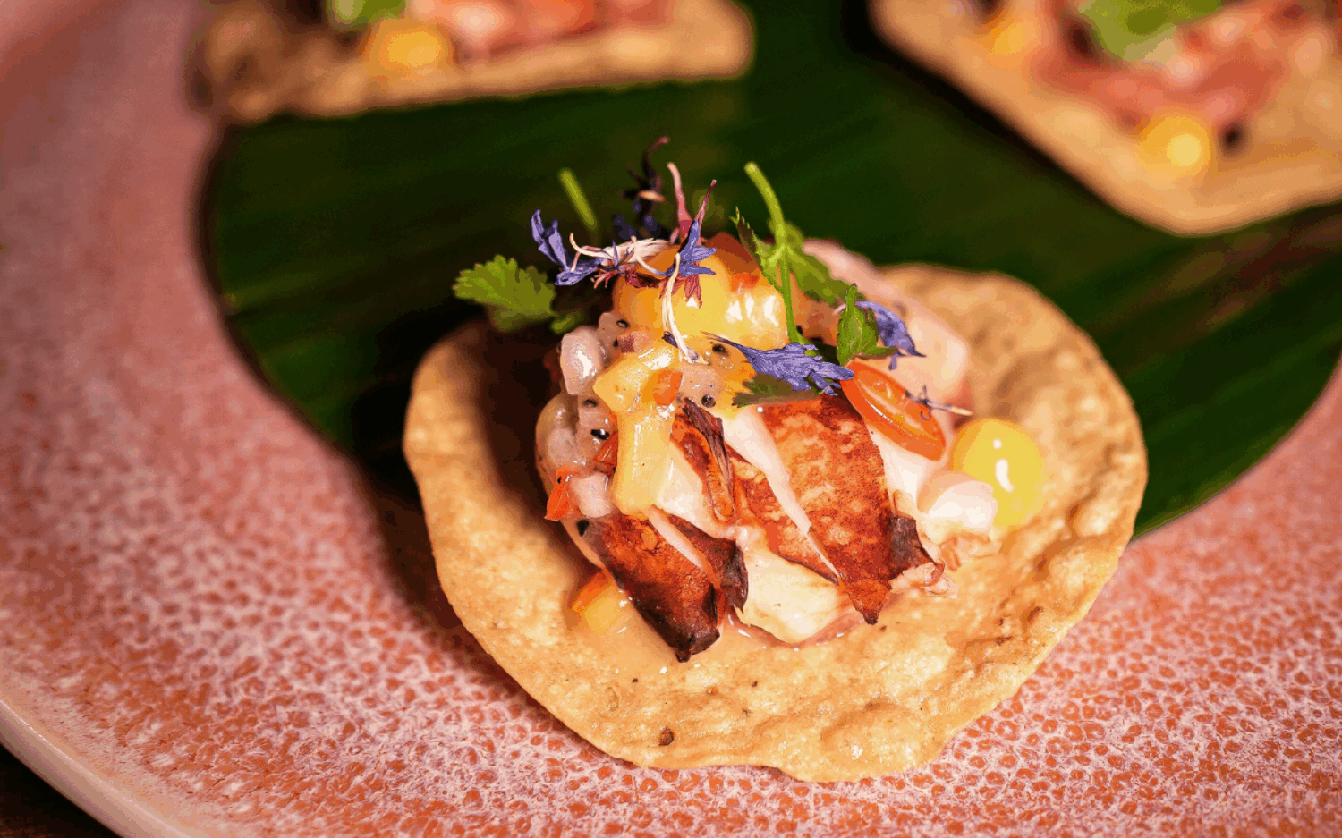 Taco mit frischen Meeresfrüchten und diverse Gerichte zum Teilen stehen auf der Speisekarte / ©Conrad Hamburg