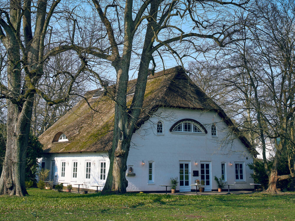 Zum Restaurant Witthüs führt ein Spaziergang durch den idyllischen Blankeneser Hirschpark / ©Marc Sill