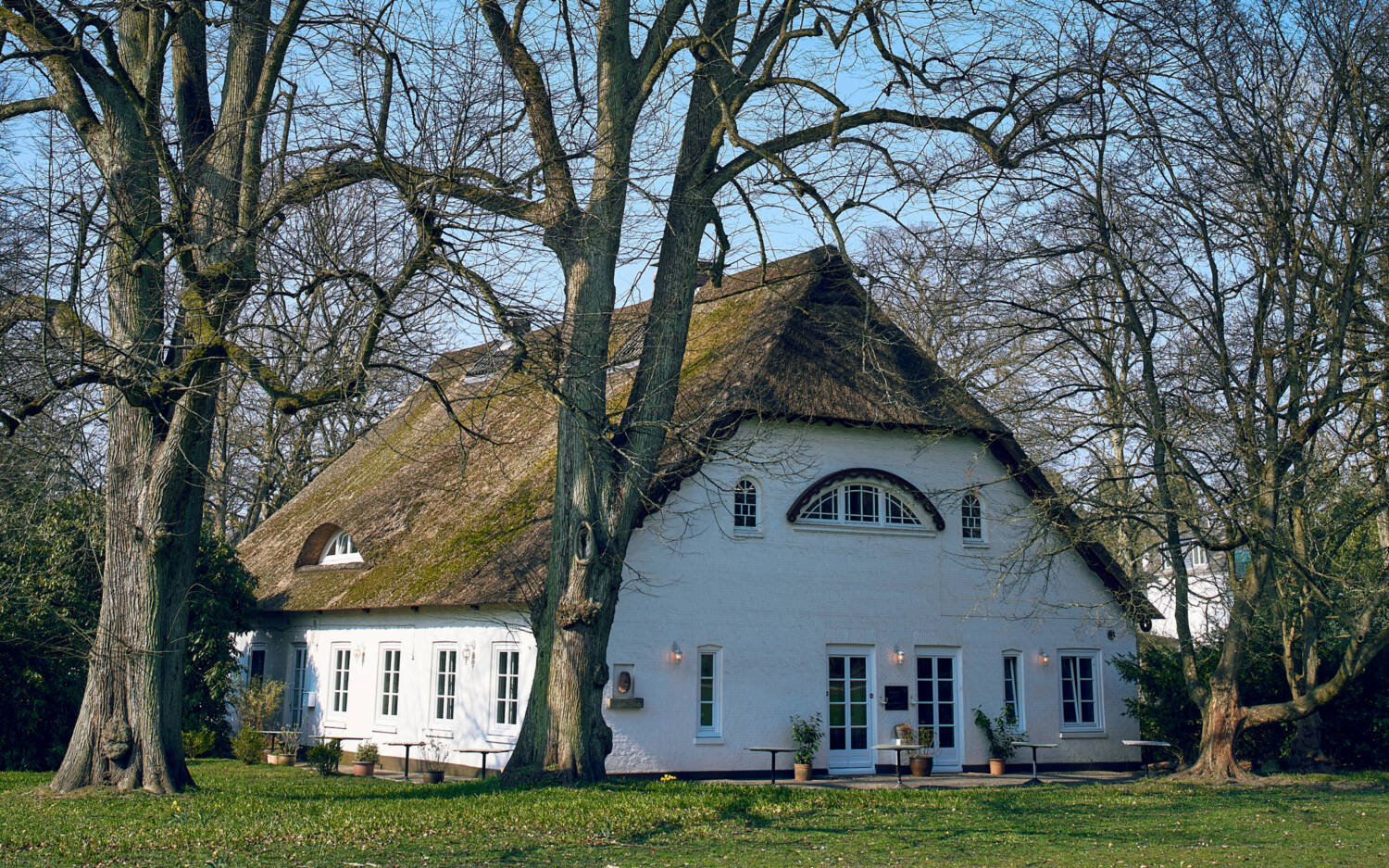 Zum Restaurant Witthüs führt ein Spaziergang durch den idyllischen Blankeneser Hirschpark / ©Marc Sill