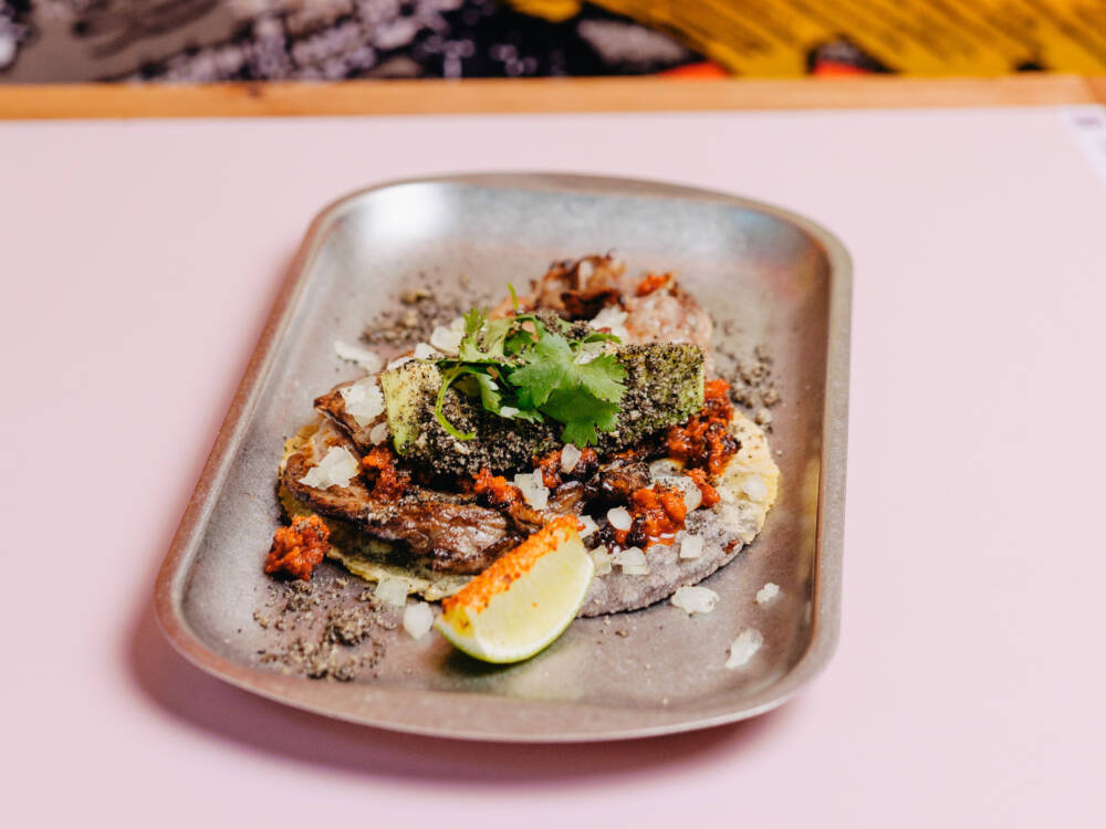 Beim ChampionsDinner kochen die Genuss-Michel-Gewinner 2025 ein Sechs-Gänge-Menü. Mit dabei: Juan sin Miedo mit Tacos mit Rib-Eye-Steak / ©Julia Schumacher